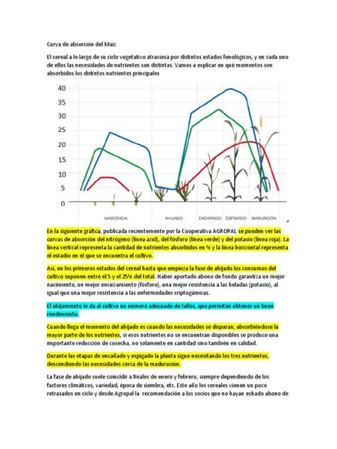 Absorción de Nutrientes en Maíz