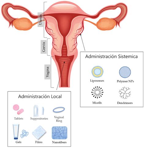 Administración de anticonceptivos por vía vaginal