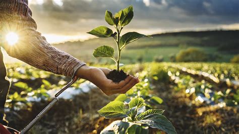 Agricultura Sostenible