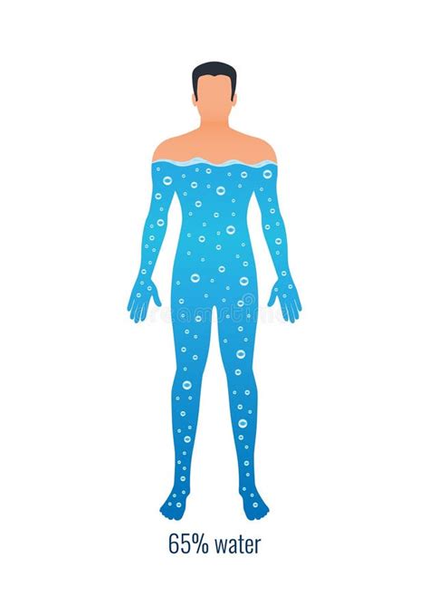 Agua en el cuerpo