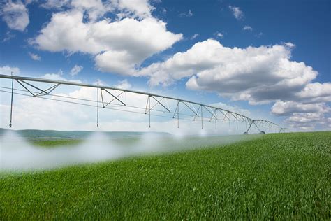 Agua en la producción de alimentos