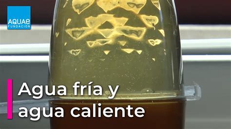 Agua fría vs agua temperatura ambiente