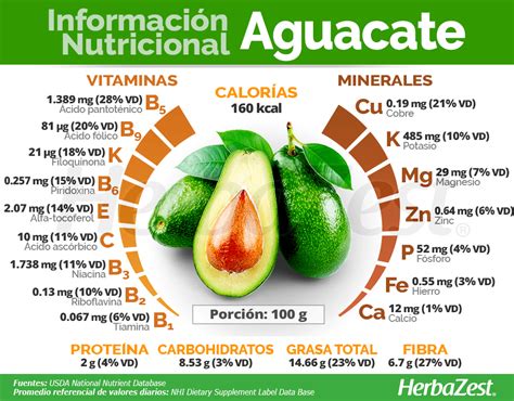 Aguacate - Composición Nutricional