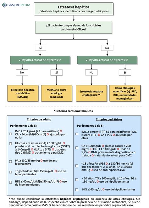 Algoritmo de evaluación de NAFLD