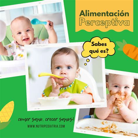 Alimentación Perceptiva