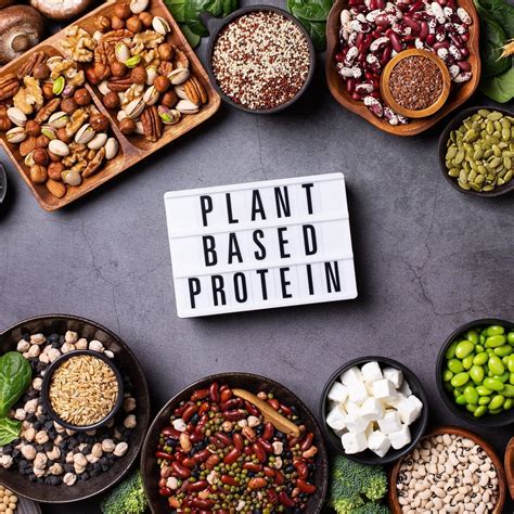 Alimentación a Base de Plantas