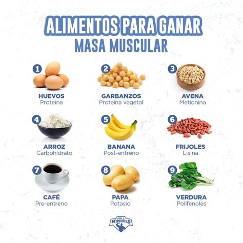 Alimentación para ganar masa muscular