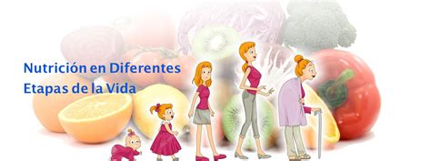 Alimentación saludable en diferentes etapas de la vida