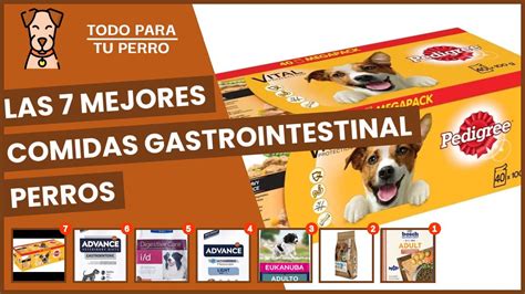 Alimento para perros con problemas gastrointestinales