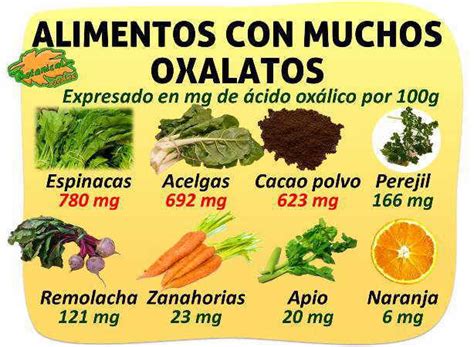 Alimentos Ricos en Oxalatos