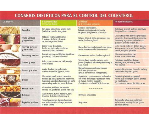 Alimentos bajos en colesterol