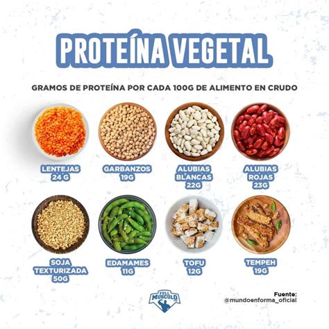 Alimentos con proteína vegetal