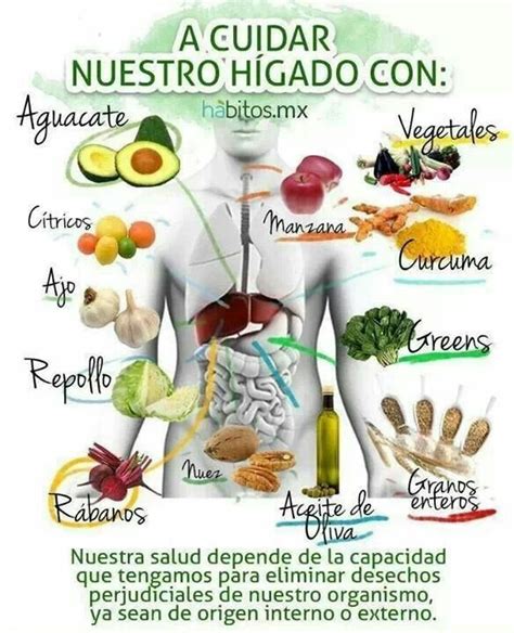 Alimentos dañinos para el hígado