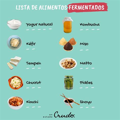 Alimentos fermentados