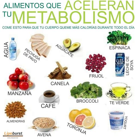 Alimentos para acelerar el metabolismo