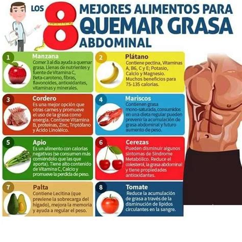 Alimentos para adelgazar la barriga