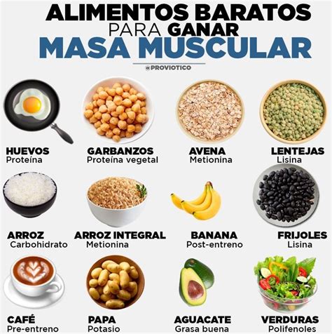 Alimentos para aumentar masa muscular