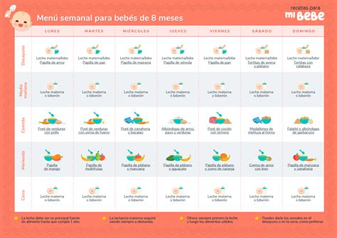 Alimentos para bebés de 8 meses