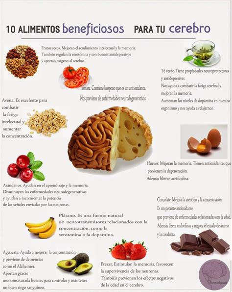 Alimentos para el cerebro