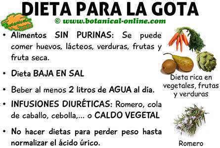 Alimentos para la gota