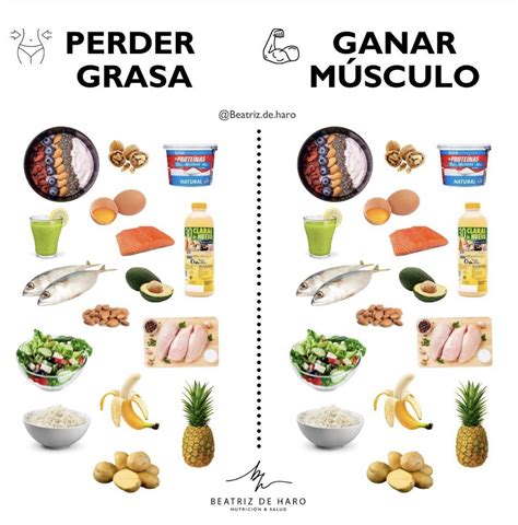 Alimentos para perder grasa