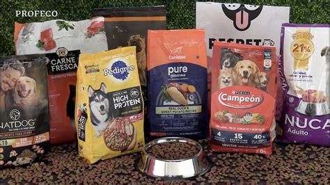 Alimentos para perros