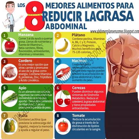 Alimentos para reducir grasa abdominal