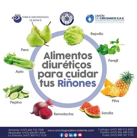 Alimentos para riñones