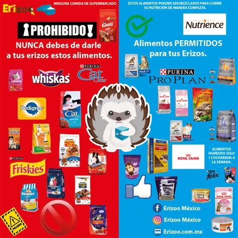Alimentos permitidos y prohibidos