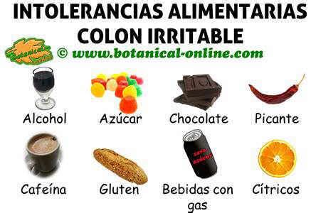 Alimentos prohibidos para el colon irritable