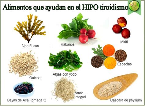 Alimentos recomendados para el hipotiroidismo