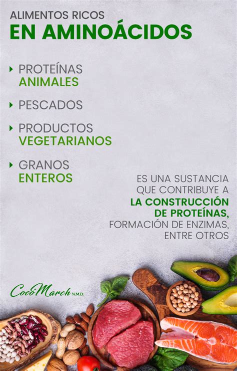 Alimentos ricos en Aminoácidos