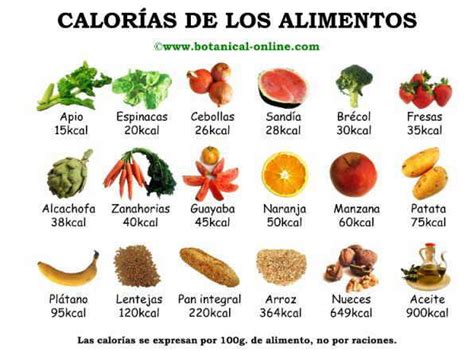 Alimentos ricos en calorías y nutrientes