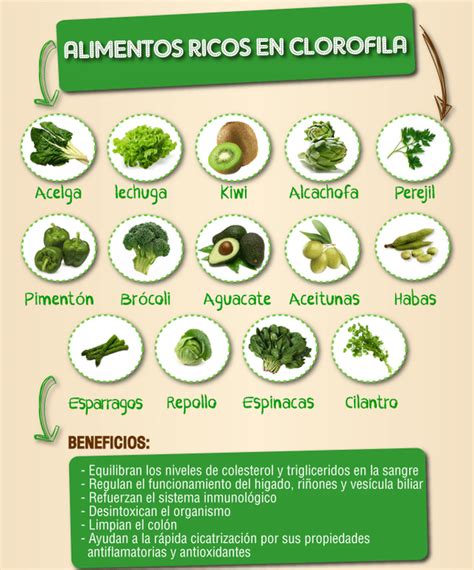 Alimentos ricos en clorofila