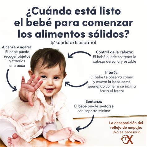 Alimentos sólidos para bebés veganos