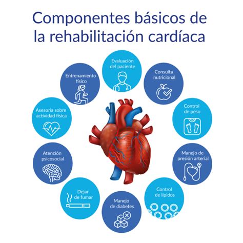 Alimentos saludables para la rehabilitación cardíaca