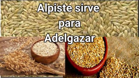 Alpiste para bajar de peso