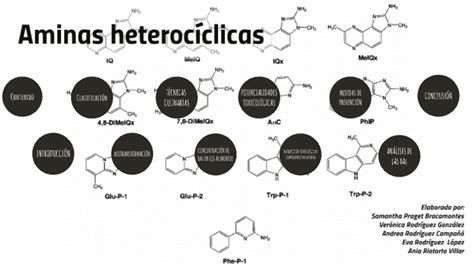 Aminas Heterocíclicas