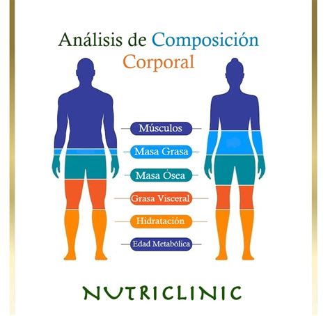 Análisis de la composición corporal