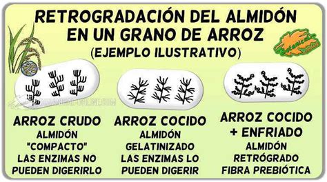 Arroz retrogradado