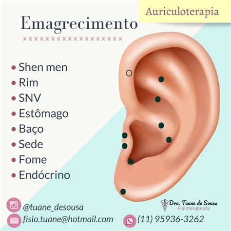 Auriculoterapia