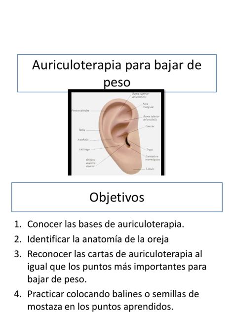 Auriculoterapia para bajar de peso