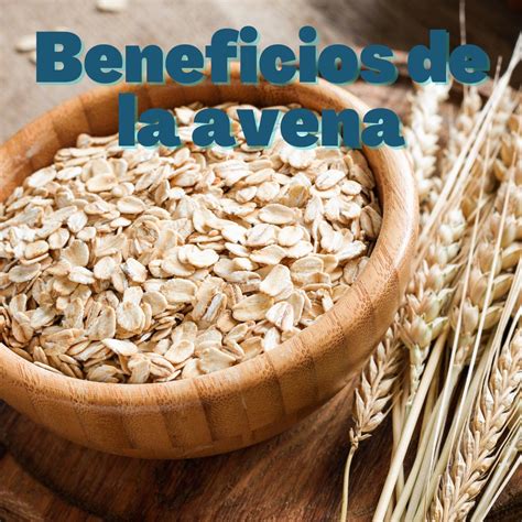 Avena y salud digestiva