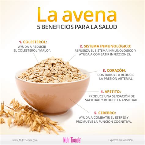 Avena y sus beneficios