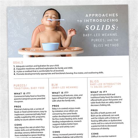 BLISS Baby Led Introduction to Solids