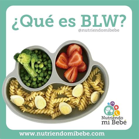 BLW Alimentación Guiada por el Bebé
