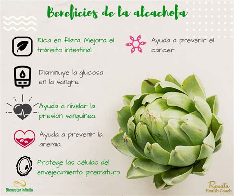 Beneficios alcachofa