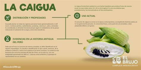 Beneficios de la Caigua