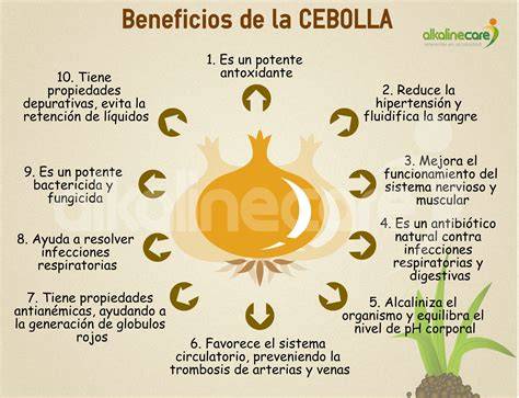 Beneficios de la Cebolla