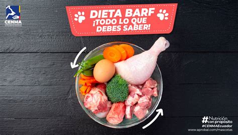 Beneficios de la Dieta BARF